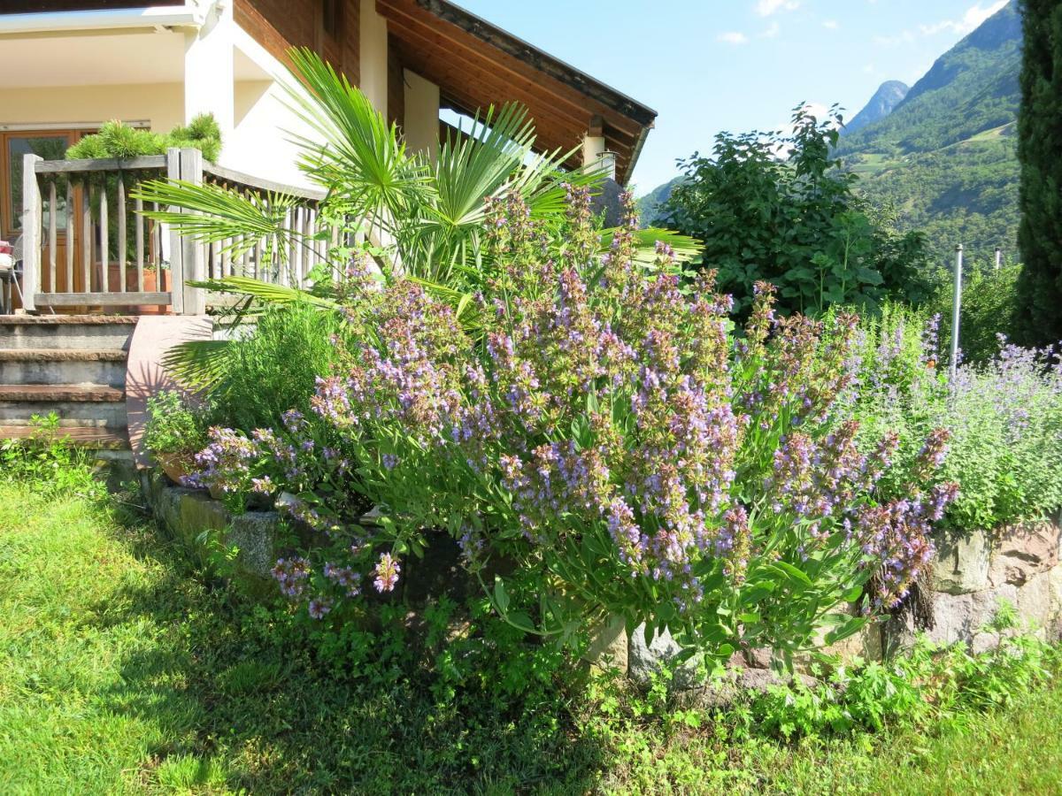 Feldererhof Lägenhet Postal / Burgstall Exteriör bild