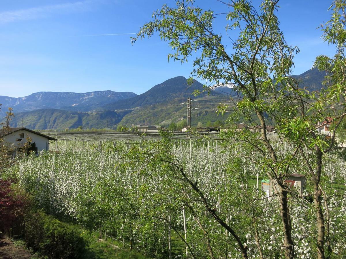 Feldererhof Lägenhet Postal / Burgstall Exteriör bild