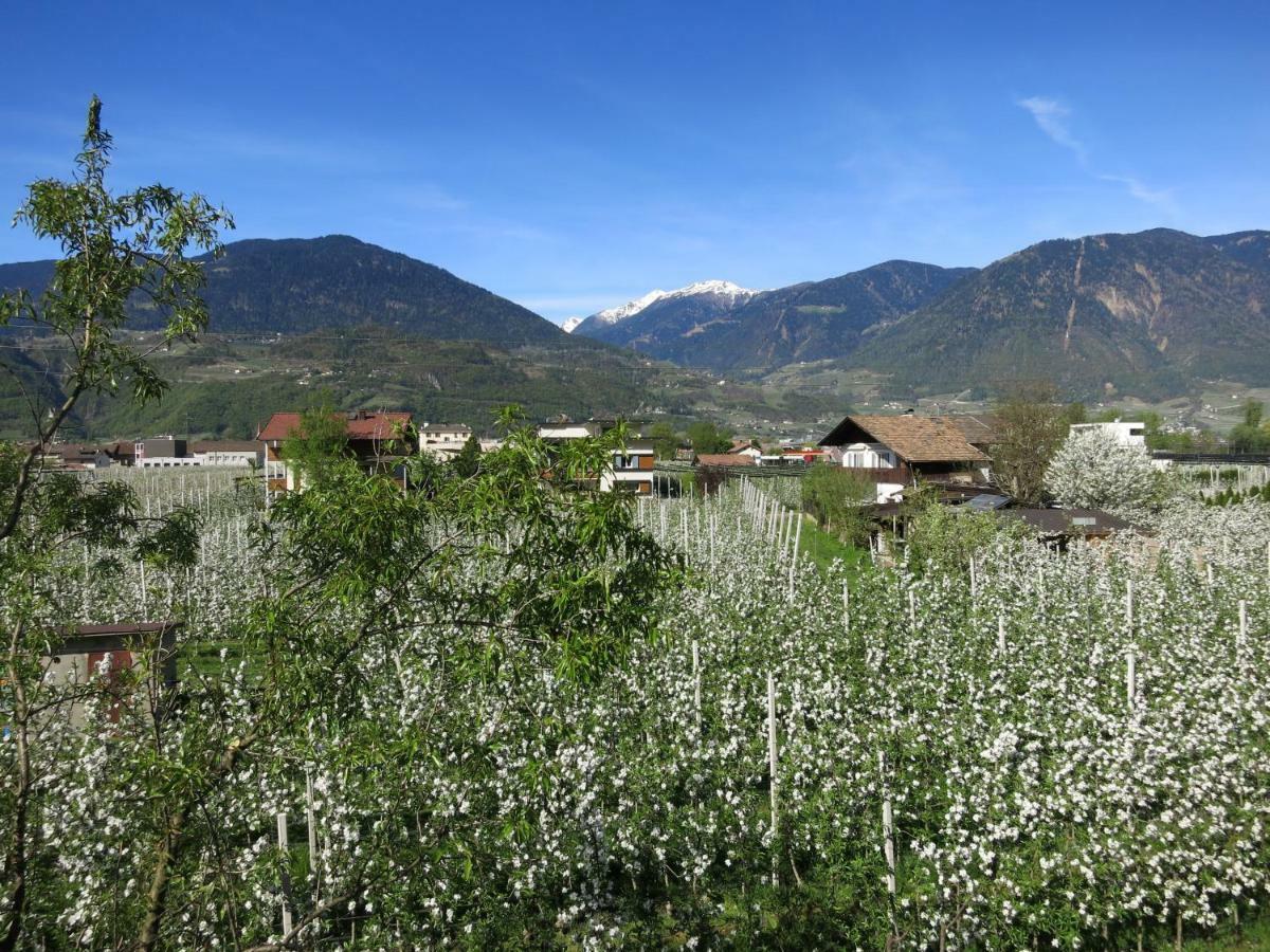 Feldererhof Lägenhet Postal / Burgstall Exteriör bild